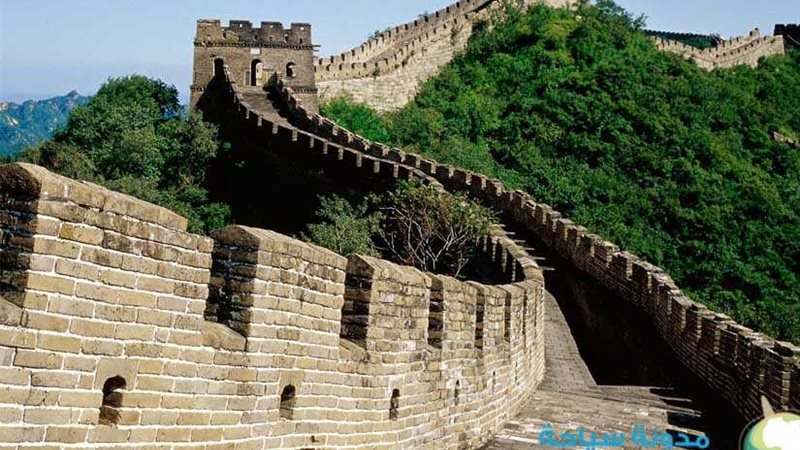 بمشاركة مصر.. الصين