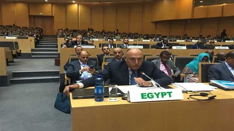 شكري يشارك في جلسة