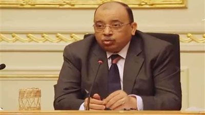 وزير التنمية المحلية: مصر قامت بجهود كبيرة لمواجهة مشكلة الهجرة غير الشرعية