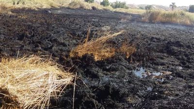 إخماد حريق محدود بالجبانة الفاطمية بأسوان