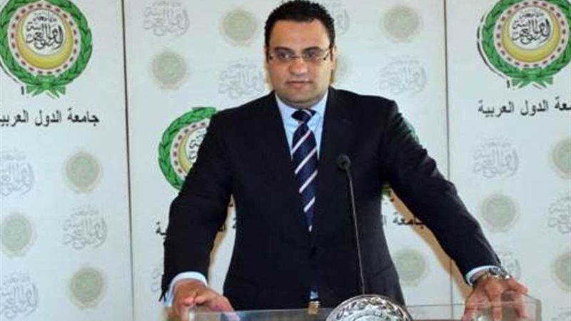 عفيفي: أجندات تركيا