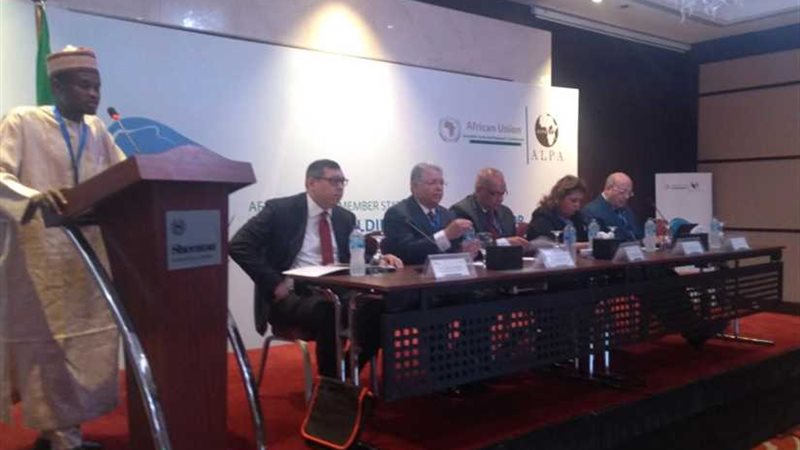 التجربة المصرية تتألق