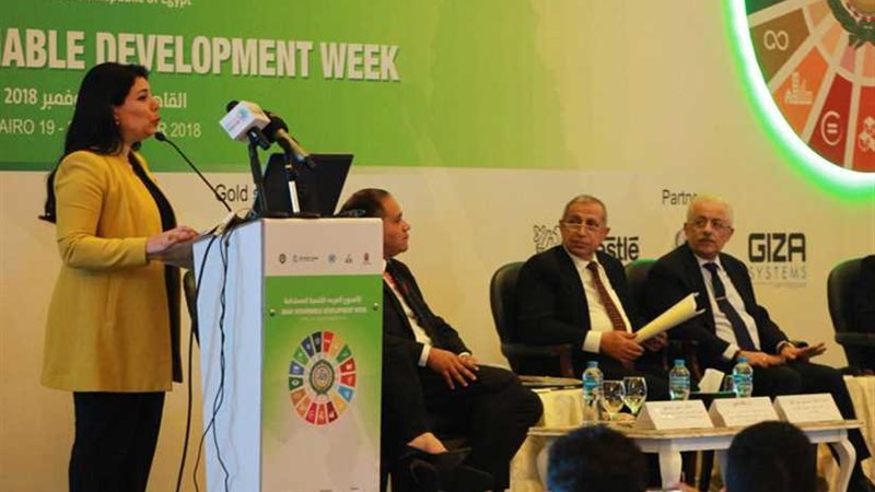 جهاد عامر تشارك في