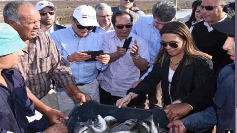 الآسيوي للاستثمار: