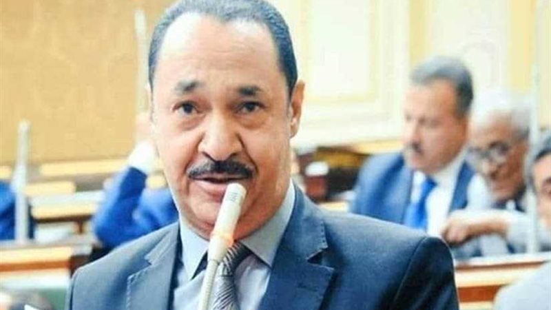 وكيل محلية النواب