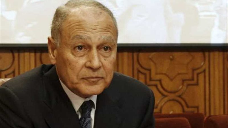 أبو الغيط يؤكد إجماع