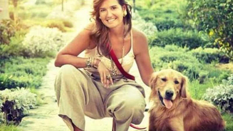 الحيوانات.. سلاح