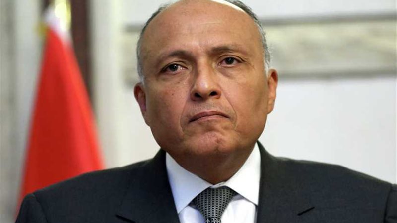 شكري: التوقيع على