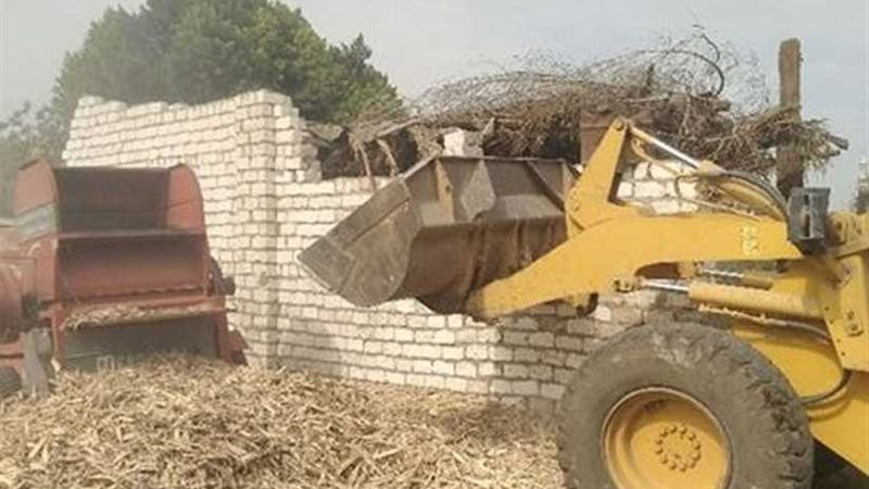 حملات مكثفة لتجميل