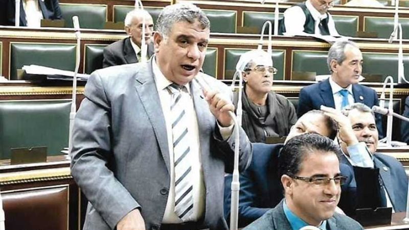 برلماني يطالب بتثبيت