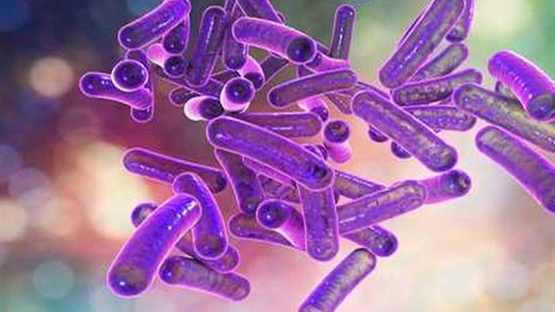 نموذج يكشف الفيروسات