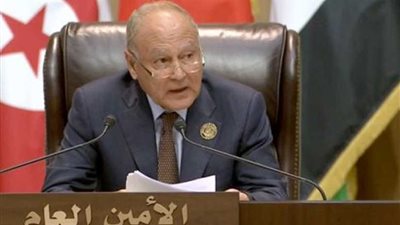 أبوالغيط: جهود مبذولة لإنشاء السوق العربية المشتركة للكهرباء