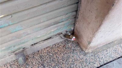 إغلاق مطبخ مطعم بالمنصورة لإدارته بدون ترخيص