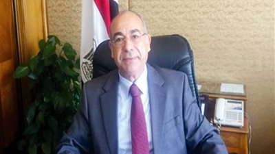 مصر تشارك في جلسة مجلس الأمن حول عمليات حفظ السلام في أفريقيا