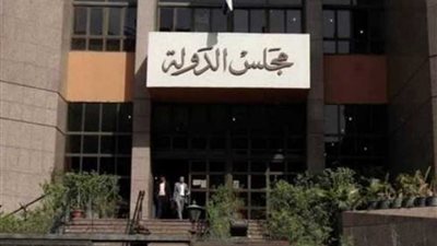 جد يطعن أمام مجلس الدولة لتسجيل بيانات حفيديه