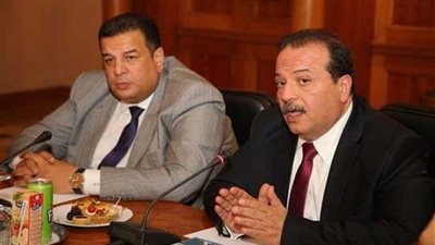 د. مجدي سبع : مشروعات التنمية أقوى سلاح في مواجهة الإرهاب