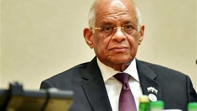 رئيس النواب يطالب الحكومة باستراتيجية لإدارة أموال 