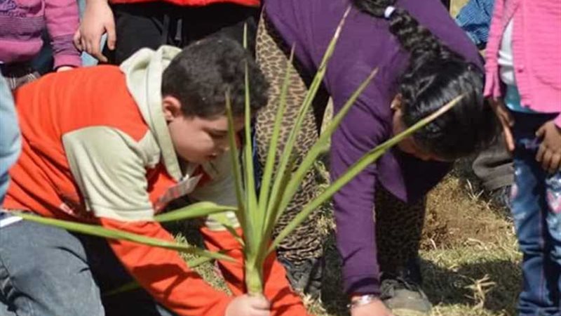 غدا.. القومي لثقافة