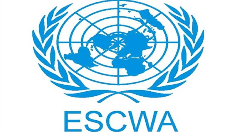 الأمين التنفيذي للإسكوا