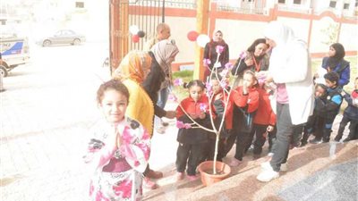 أنشطة بالمدرسة اليابانية المصرية بالمنيا احتفالا بالافتتاح الرسمي