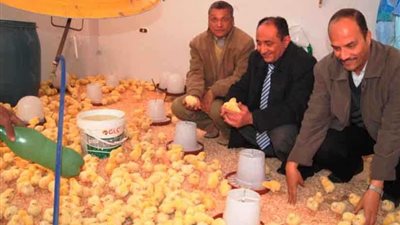 كليات جديدة بـ