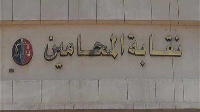 وزارة الهجرة تنفي فرض رسوم جديدة بالدولار على استخراج بطاقات العضوية للمحامين المغتربين بالخارج