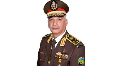 وزير الدفاع يلتقي نظيره الإماراتي لبحث تعزيز العلاقات العسكرية