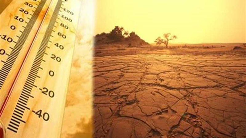 الأرصاد العالمية: