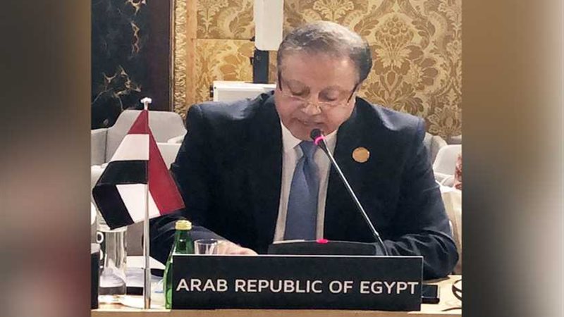 رئيس دار الكتب يلقى