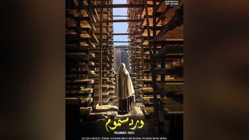 فيلم ورد مسموم يفوز