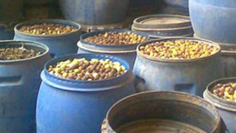 ضبط 50 طن مخللات