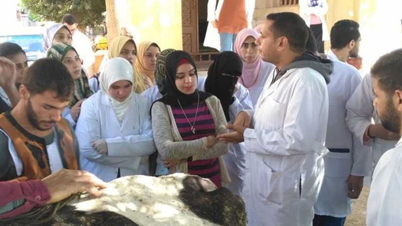 جامعة دمنهور تطلق