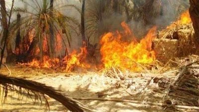 السيطرة على حريق محدود بمزرعة نخيل بالوادي الجديد