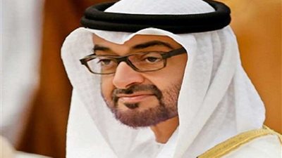 ولي عهد أبوظبي يبحث مع رئيس البرلمان الإفريقي التعاون البرلماني