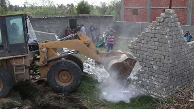 إزالة 1001 حالة تعدٍ على الأراضي الزراعية بـ