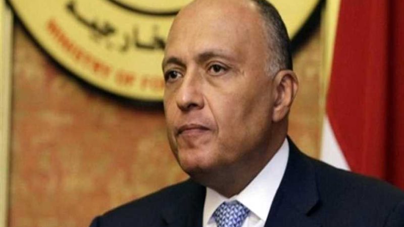 وزير الخارجية يصل