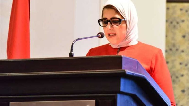 زايد: مصر تحقق ثورة