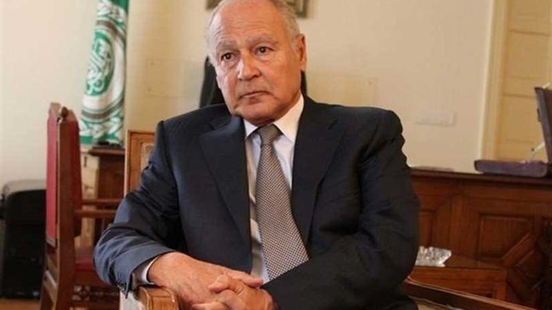 أبو الغيط يلتقي وفد