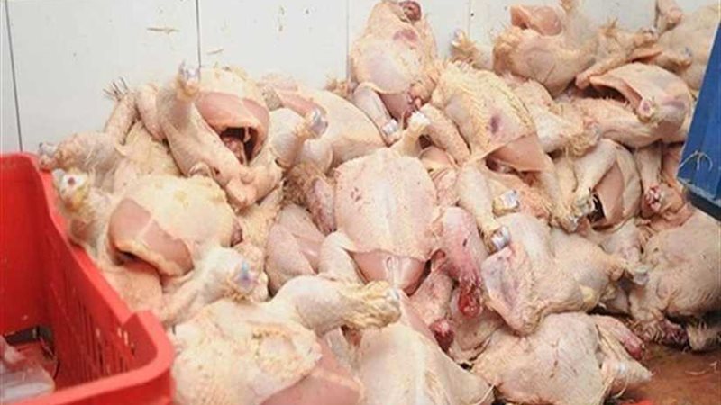 بيطري المنيا يضبط