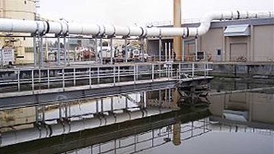 البحيرة تستعين بتجارب 