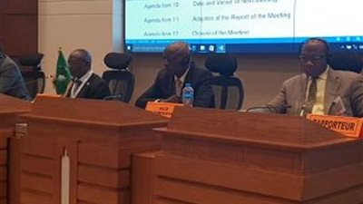 القاهرة تستضيف الاجتماعات التحضيرية لمفاوضات منطقة التجارة الحرة القارية الإفريقية