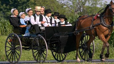 الأميش.. سلفية مسيحية تحرم مظاهرالحياة المعاصرة (فيديو وصور)