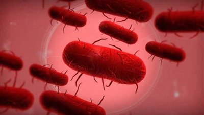 اكتشاف أول سلالة طاعون في تاريخ البشرية في قبر عمره 5000 عام.. (صور)