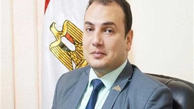 برلماني: منتدى إفريقيا يعكس اهتمام مصر بالتنمية في القارة السمراء