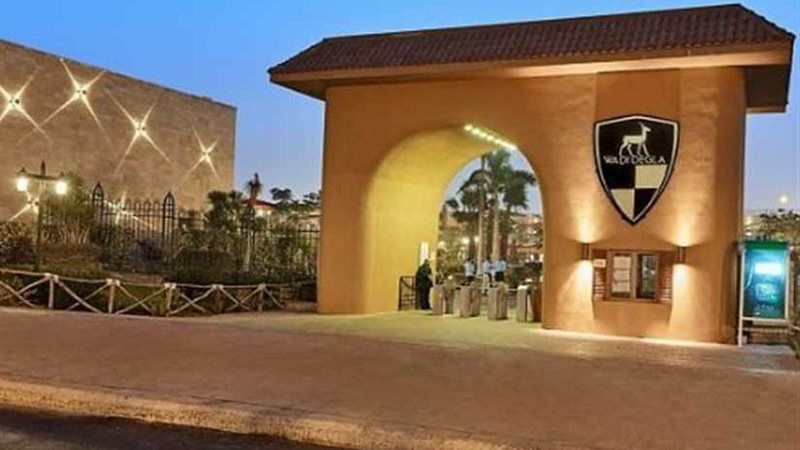 الشباب والرياضة تمنح