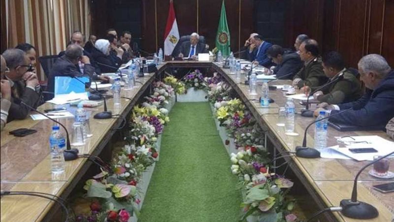 محافظ الدقهلية: دراسة