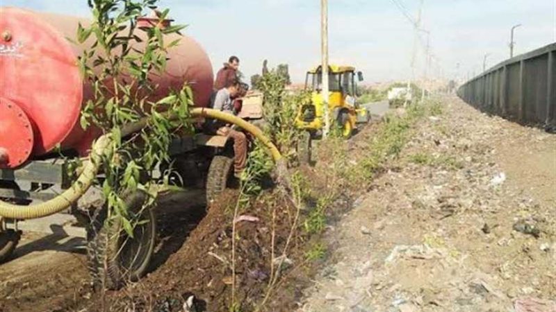 السعيد يتابع شكوى