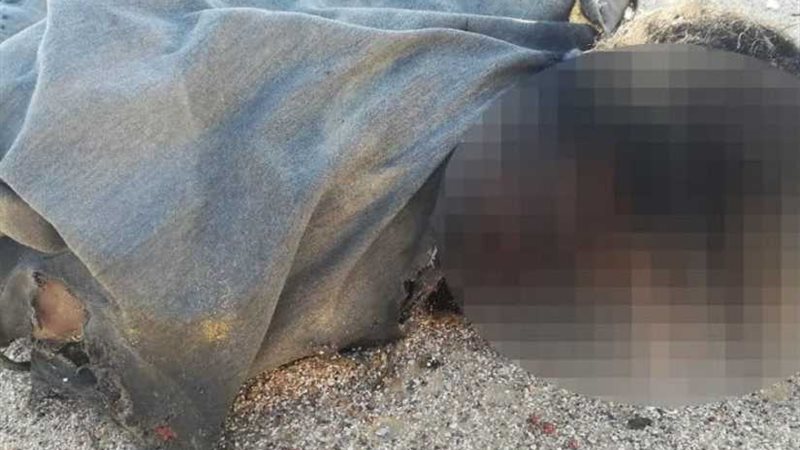 الشرطة تداهم الخلية