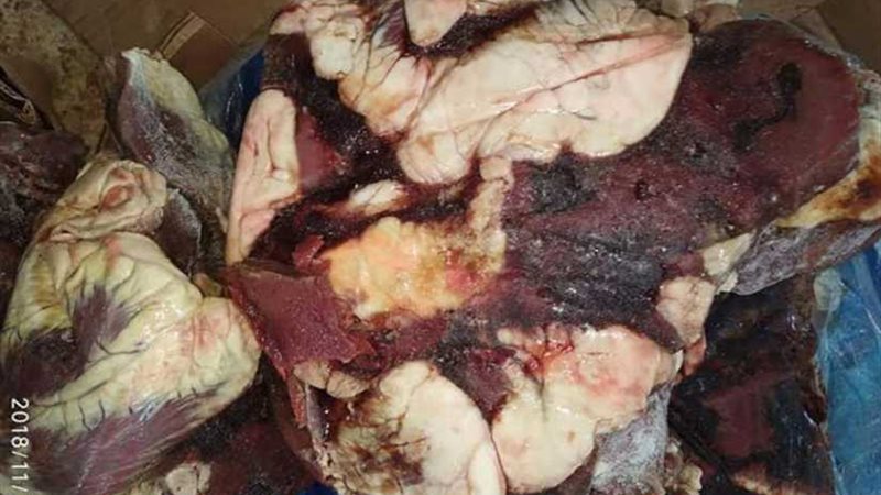 تموين المنوفية يضبط