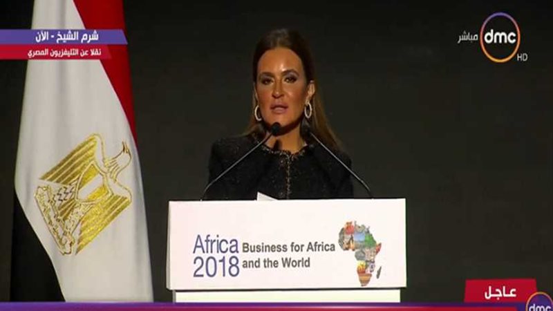 نصر: قانون الاستثمار